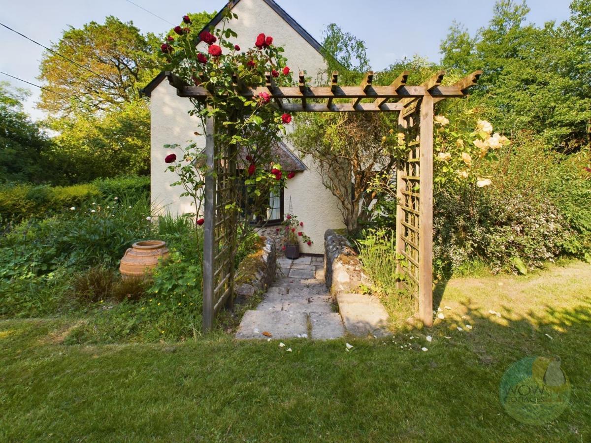 Sundowner - Axminster Devon Exterior foto