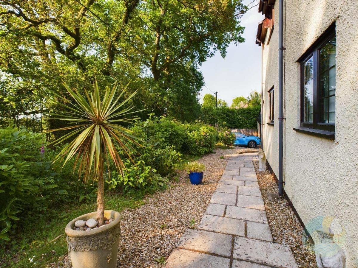 Sundowner - Axminster Devon Exterior foto